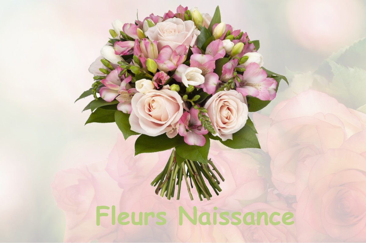 fleurs naissance LA-FAVIERE