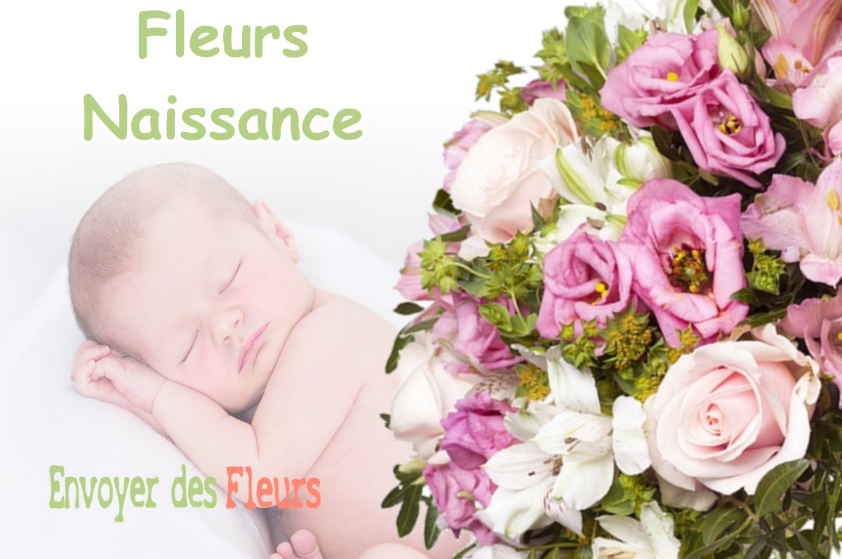 lIVRAISON FLEURS NAISSANCE à LA-FAVIERE